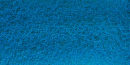 Sea Mist