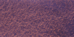 Sunset Mist